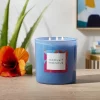 3-Wick 28oz Glass Moonlit Hibiscus Candle Light Blue - Opalhouse™