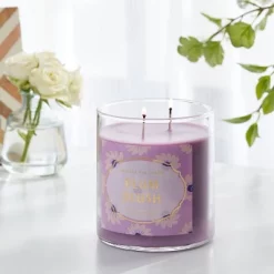 2-Wick 15.1oz Jar Candle Plum Blush - Opalhouse™