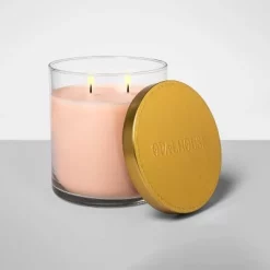 2-Wick Clear Glass Mango Coconut Lidded Jar Candle 15.1oz - Opalhouse™