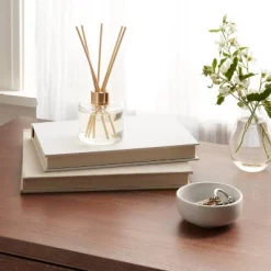 4 fl oz Driftwood & Sea Salt Oil Reed Diffuser - Opalhouse™